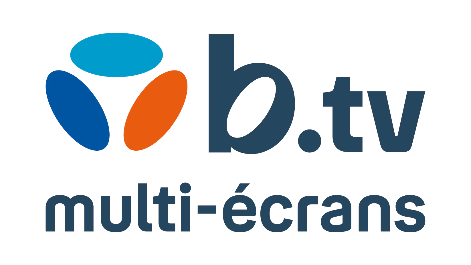 logo btv multi-ecrans