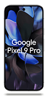 Photo du produit Pixel 9 Pro