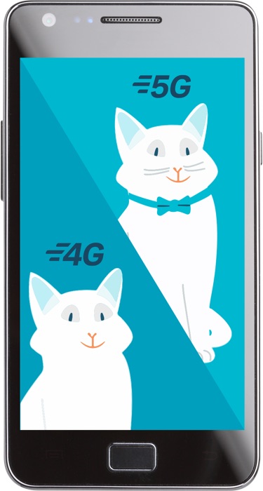 Comparação visual 5G 4G com um gato - Bouygues Telecom