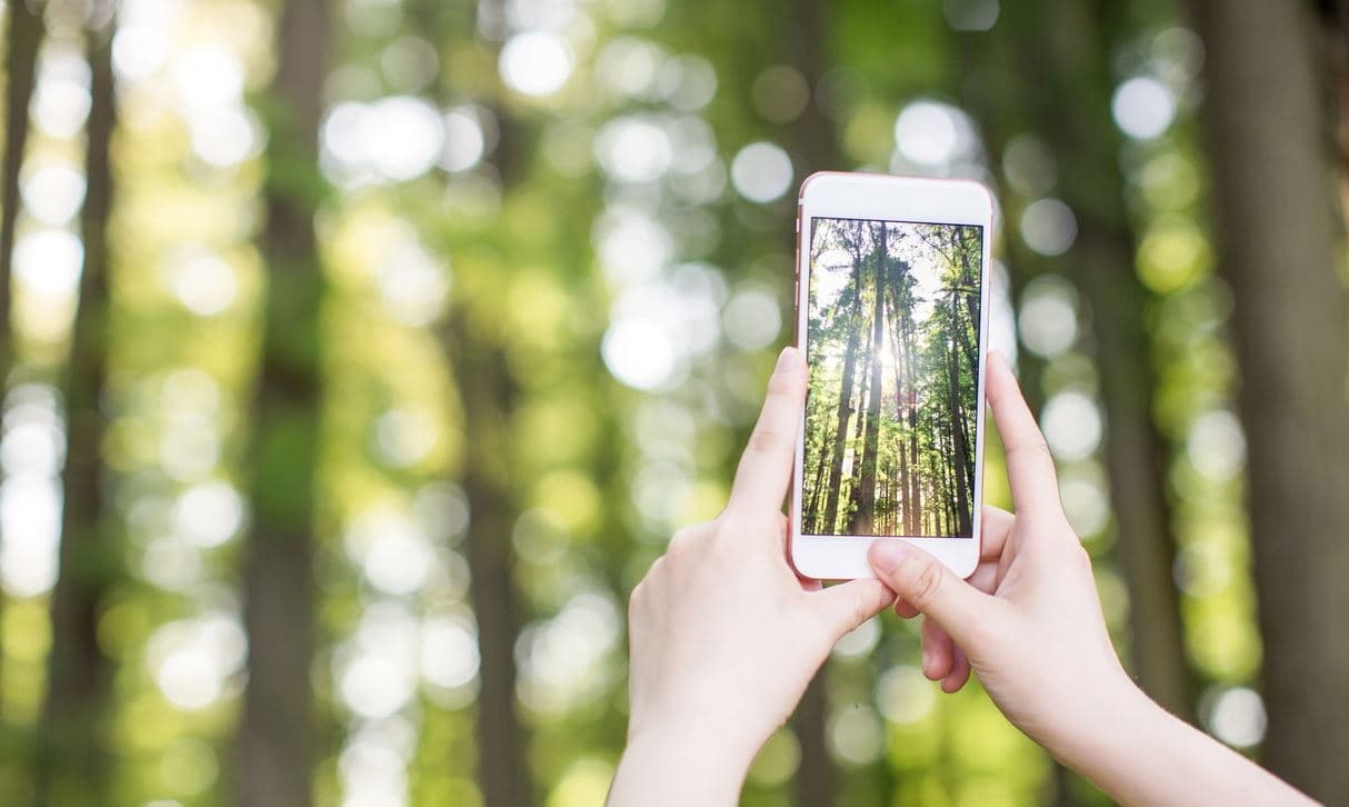 choisir ecran smartphone
