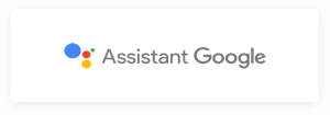 Assistant Google Assistant Google