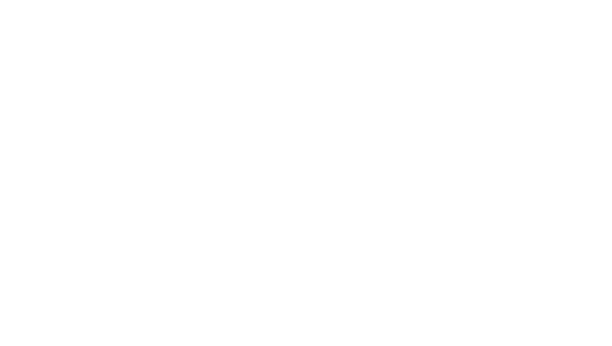logo Le Black Friday