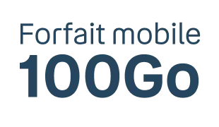 Forfait mobile 100Go
