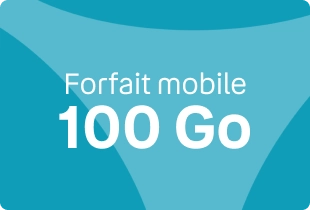 Forfait mobile 100Go